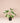 Kunstplant | Gatenplant - Monstera bush - 40 cm