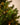 Kunstkerstboom | 185 cm | Detailfoto | LOVÍY