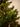 Kunstkerstboom | 185 cm | Detailfoto | LOVÍY