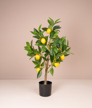 Kunstplant | Citroenboom - 72 cm