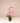 Kunstplant | Orchidee - vanda - 60 cm