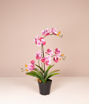 Kunstplant | Orchidee - vanda