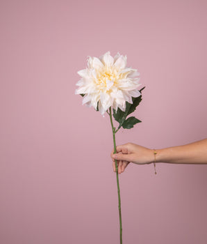 Zijden bloem | Dahlia spray - crème