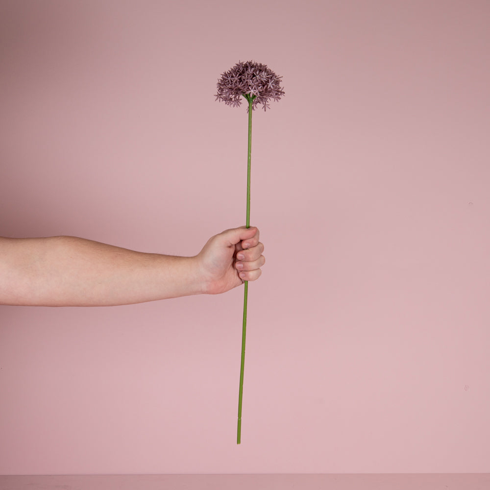 Zijden bloem | Allium | Lovíy