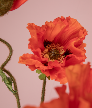 Poppy - oranje | 90 cm | Zijden bloem | Kunstbloem | LOVÍY
