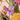 Zijden boeket met vaas | Colourful Love - Klein | Betaalbare kunstbloemen | Delphinium | Detailfoto