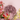 Zijden boeket | Colourful Love - Klein | Allium | Detailfoto